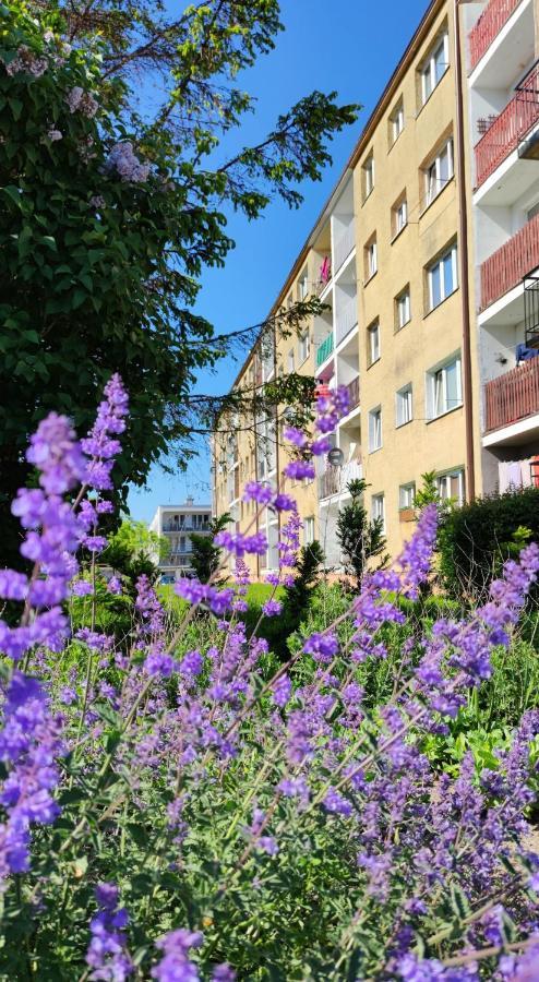 Apartament Sunwave Władysławowo エクステリア 写真